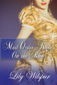 Mail Order Bride: On The Run: A Historical Mail Order Bride Story (Mail Order Brides) Mail Order Bride: On The Run: A Historical Mail Order Bride Story (Mail Order Brides)