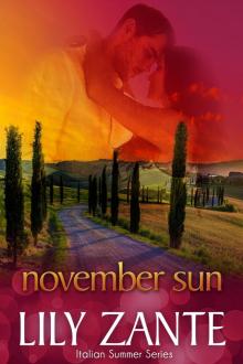 November Sun November Sun