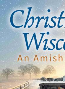 Christmas in Wisconsin