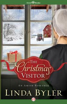Christmas Visitor Christmas Visitor