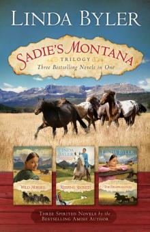 Sadie’s Montana Trilogy Sadie’s Montana Trilogy