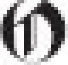 Wild Horses Wild Horses