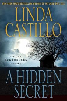 A Hidden Secret: A Kate Burkholder Short Story
