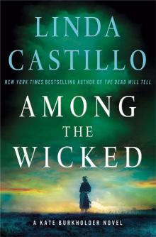 Among the Wicked: A Kate Burkholder Novel