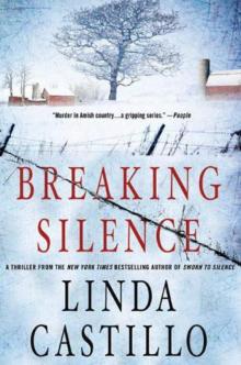 Breaking Silence kb-3