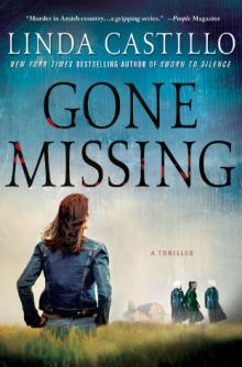 Gone Missing (Kate Burkholder 4) kb-4
