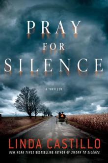 Kate Burkholder 2 - Pray for Silence