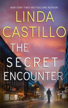 The Secret Encounter The Secret Encounter