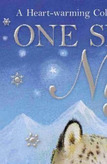 One Snowy Night