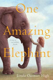 One Amazing Elephant One Amazing Elephant