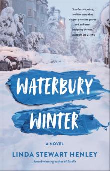 Waterbury Winter