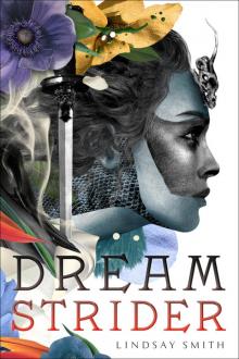 Dreamstrider Dreamstrider