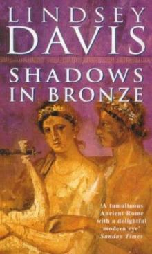 Shadows in Bronze mdf-2