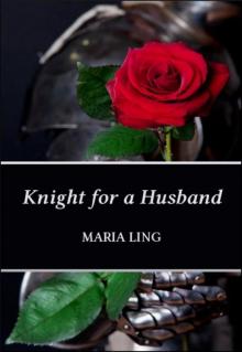 Knight for a Husband Knight for a Husband