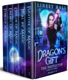 Dragon's Gift: The Protector Complete Series: Books 1 - 5 Dragon's Gift: The Protector Complete Series: Books 1 - 5