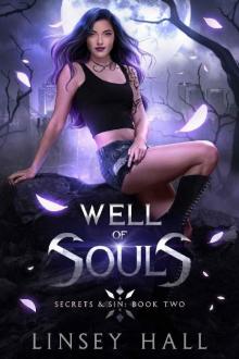 Well of Souls (Secrets & Sin Book 2) Well of Souls (Secrets & Sin Book 2)