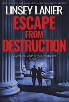 Escape from Destruction (Wesson and Sloan FBI Thriller Book 2)