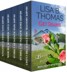 Cozy Suburbs Mystery Box Set