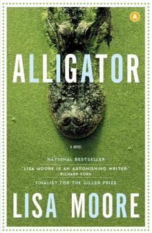 Alligator Alligator