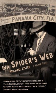 In a Spider’s Web