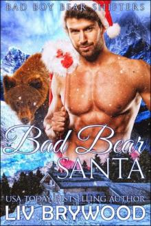 Bad Bear Santa (Bad Boy Bear Shifters Book 1) Bad Bear Santa (Bad Boy Bear Shifters Book 1)