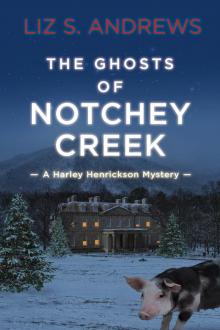 The Ghosts of Notchey Creek The Ghosts of Notchey Creek