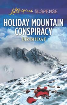 Holiday Mountain Conspiracy Holiday Mountain Conspiracy