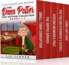 The Dana Potter Cozy Mystery Collection