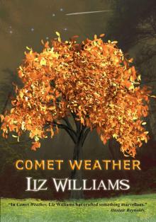Comet Weather Comet Weather