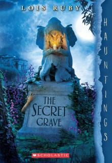 The Secret Grave The Secret Grave