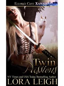 Twin Passions: 3 (Wizard Twins)