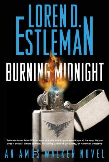 Burning Midnight Burning Midnight