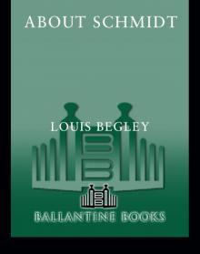 About Schmidt About Schmidt