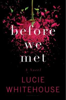 Before We Met: A Novel Before We Met: A Novel