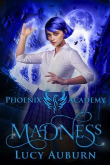 Phoenix Academy: Madness: A Reverse Harem Paranormal Romance (Blue Phoenix Book 1)