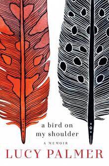 A Bird on My Shoulder