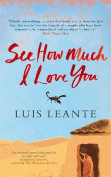 See How Much I Love You See How Much I Love You