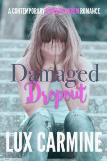 Damaged Dropout (Lone Wolves #2)