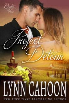 Project Detour (Castle View Book 3) Project Detour (Castle View Book 3)
