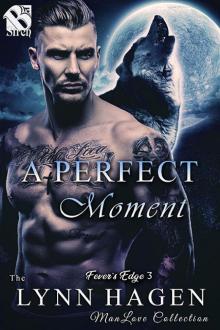A Perfect Moment A Perfect Moment