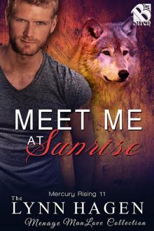 Mercury Rising 11 - Meet Me at Sunrise