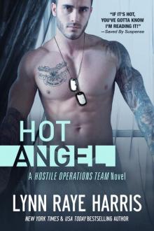 HOT Angel: Hostile Operations Team - Book 12