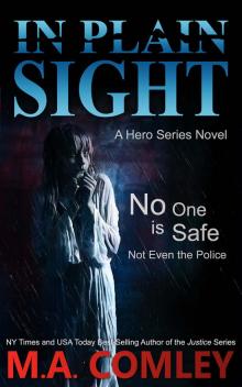 In Plain Sight: a hero series novel In Plain Sight: a hero series novel