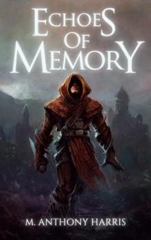 Echoes of Memory