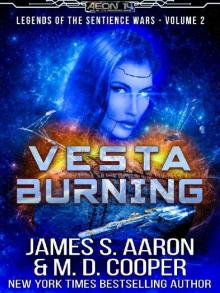 Vesta Burning Vesta Burning