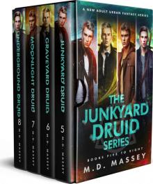 The Junkyard Druid Box Set 2