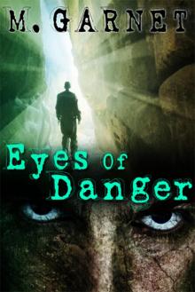 Eyes Of Danger Eyes Of Danger