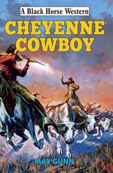 Cheyenne Cowboy Cheyenne Cowboy