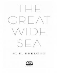 The Great Wide Sea