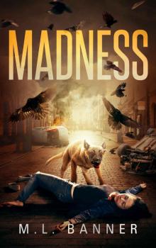 MADNESS (Madness Chronicles Book 1)